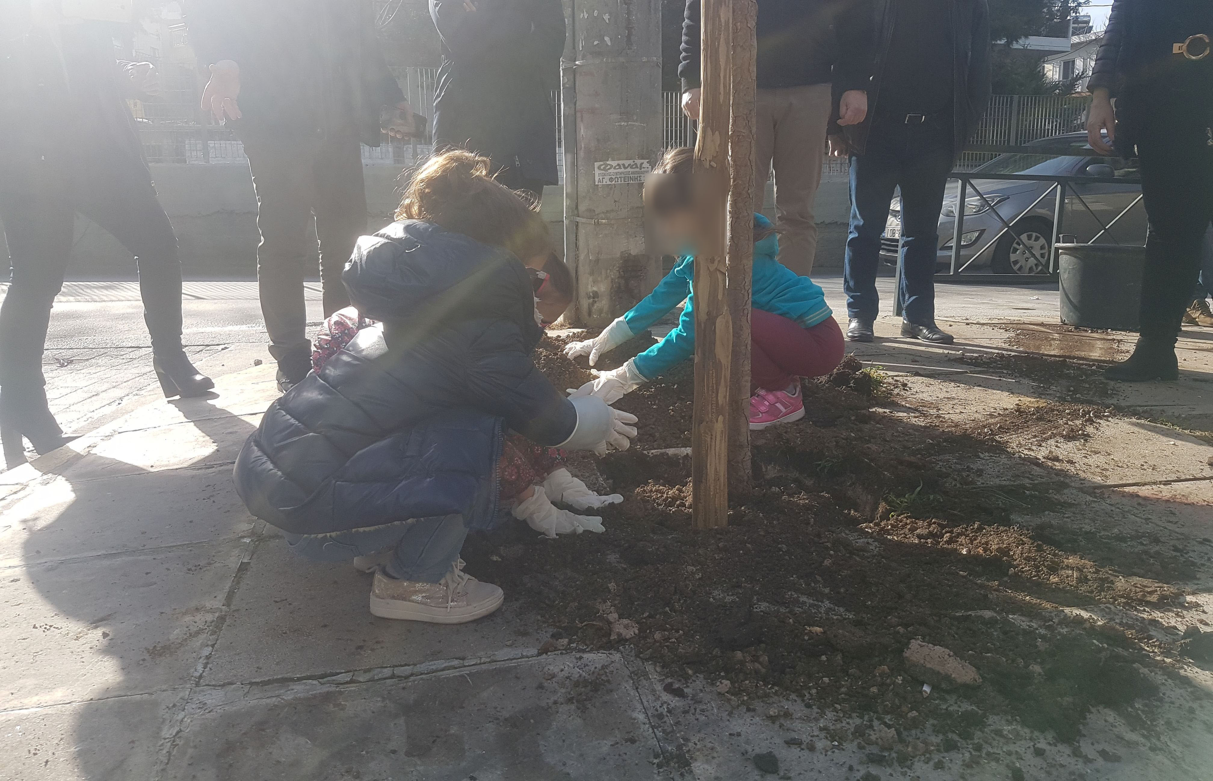 Η εθελοντική δεντροφύτευση του Γενάρη πήγε… Κέντρο.