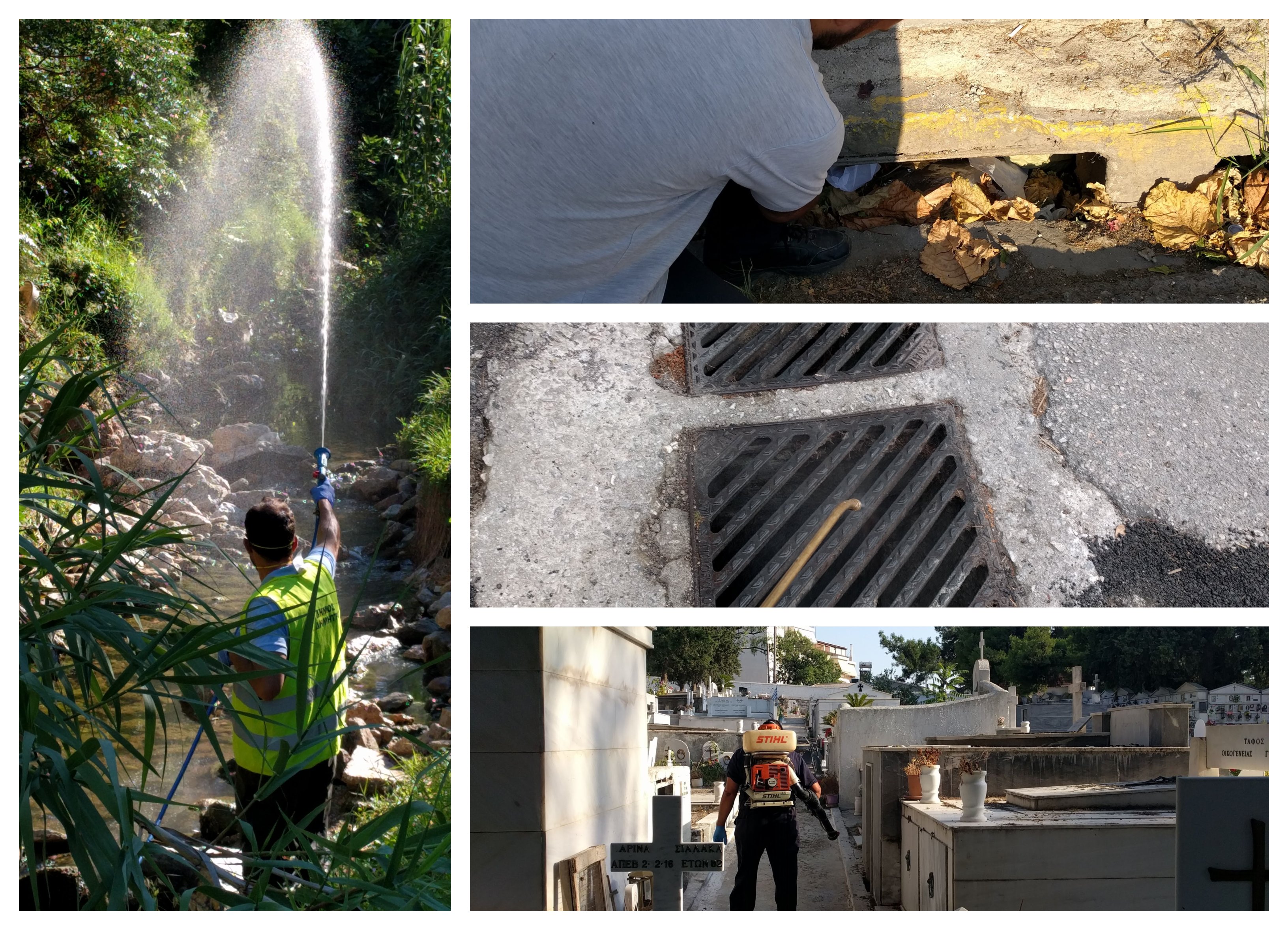 Πρόγραμμα κουνουποκτονίας 2023 στον Δήμο Ηρακλείου Αττικής – Συμβουλές για τους δημότες